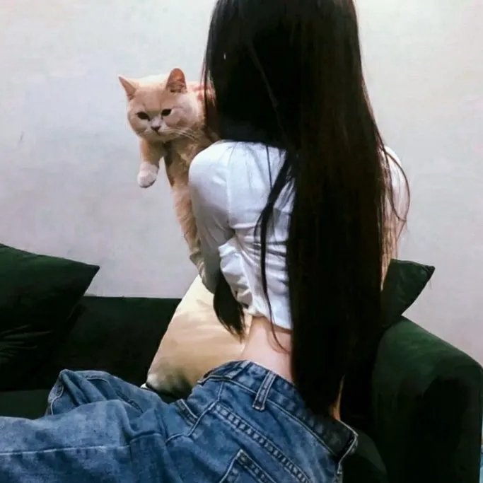 手机里的眼泪