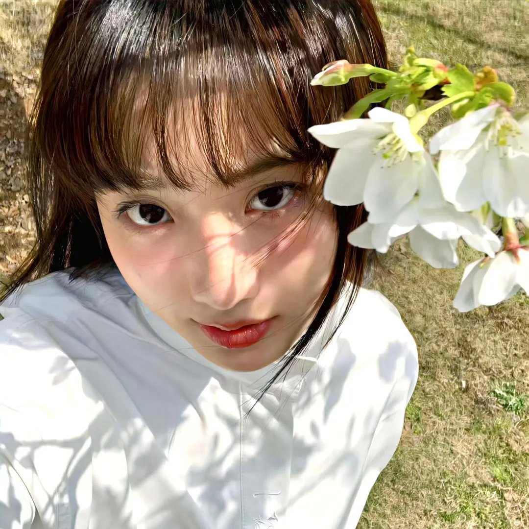 花非花雾非雾